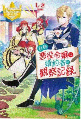 动漫在线观看 魔法少女传说